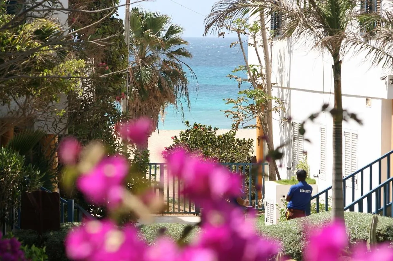 Leme Bedje Fronte Spiaggia Santa Maria
